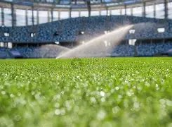 姆巴佩再展,神威,荣膺黄潜对,博鱼体育官网,博鱼体育app,博鱼体育APP下载